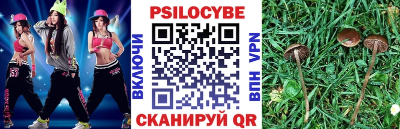 Галлюциногенные грибы GOLDEN TEACHER Сусуман